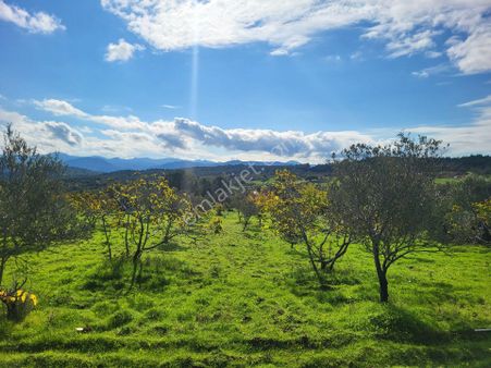 Kazdağları Eteklerinde Yerleşim Yeri Yakını 4000 M2