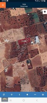 Gerciginde Satılık Yatırımlık Arazi