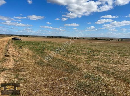 Edirne Lalapaşa Hanleyenice Köyü Yatırımlık Arazi