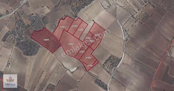 Güney Ortaçeşmede 132 Dönüm Tam Tekmil Ceviz Bahçesi