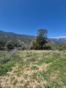 Küçük Yatırımcılar İçin Kupon Arazi️ Antalya Kumluca Çayiçi Mah.