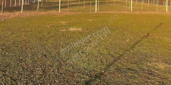 İnegöl Kurşunluda Kaçırılmayacak Fırsat Hobi Bahçesi