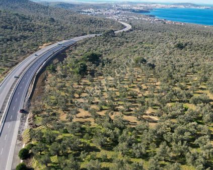 Balcity'den Balıkesir Burhaniye Pelitköyde Sahile Çok Yakın Turistik Bölgede 5.991 M2 Yaşam Alanı