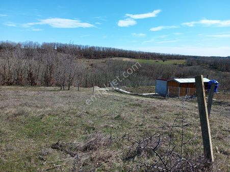 Ege Gayrimenkul'den Büyükçavuşlu'da Satılık Arsa