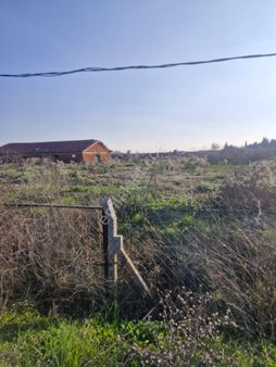 Sultaniye Köyiçinde Toplam1295 M2 Ev Bahçe Nitelikli Arazi