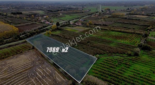 Öz-emmaxtan Akçatarlada Satılık 7989 M2 Fındık Tarlası
