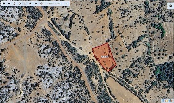 Konya Beyşehir Üzümlü Mahallesi Satılık Tek Tapu Tarla