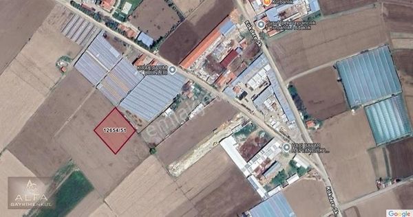 İmara 1km Mesafede !! Sakintepe Mh. 1655 M2 Satılık Tarla !!!