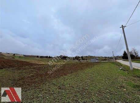 Sümbüller'den Yola Cepheli Köy Dibinde 1950 M2 Fırsat Tarla