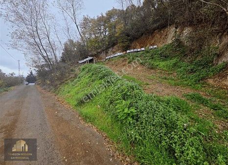 Trabzon Ortahisar Yeşilbük Köyünde Yola Sıfır Fırsat Arsa