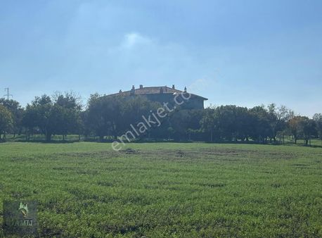 Çamlı Gayrimenkulden Urla Sıra Mah Satılık Fırsat Tarla