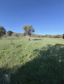 Çamlı Gayrimenkulden Yelki De Satılık Tarla