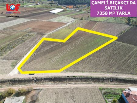 🦋lobby Fortis'ten Satılık Çameli Bıçakçı'da 7358 M² Muhteşem Tarla🦋