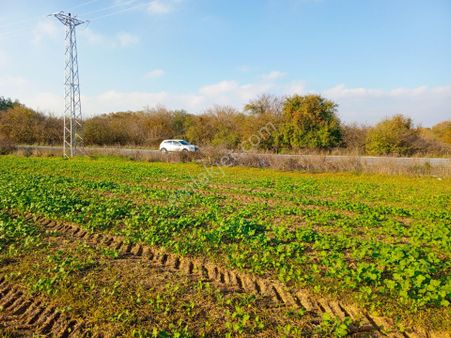 Ege Gayrimenkulden Büyükçavuşluda 25000 M2 Arazi