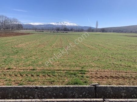 Atabey Onaçda 3.651m2 Kupon Tarla