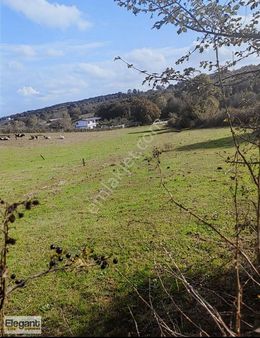 Sakarya Kaynarca'nın Gelişen Bölgesinde Kaçırılmayacak Fırsat!!!