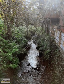 Elegant Life'dan Rize'de Kaçırılmaz Yatırım Fırsatı!!!