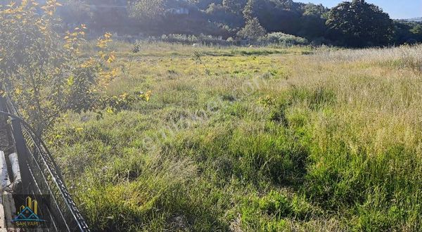 Gelecek İçin Yatırım Yapmak İsteyenler İçin Çok Güzel Bir Fırsat