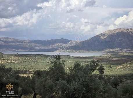 Pınarcık Bodrum Yoluna 2. Parsel Göl Manzaralı Zeytinlik