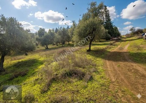 Kaytazdere'de Satılık 2343 M2 Satılık Tarla, Yol,su,elektrik,var