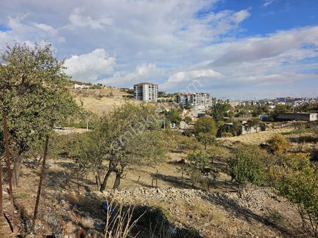 Hakev'den Ciritmeydan Mah. Arsa Satılıktır