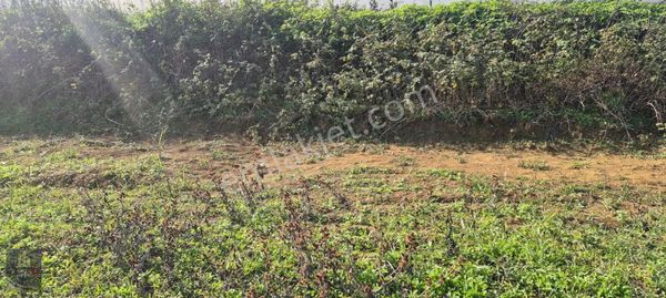 İzmit Nebihoca Resmi Yolu Ve Yapı Ruhsatları Alınmış Arsa