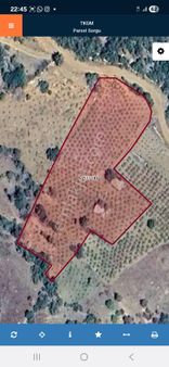 4dönüm Üzüm Bağı Konya Gadim