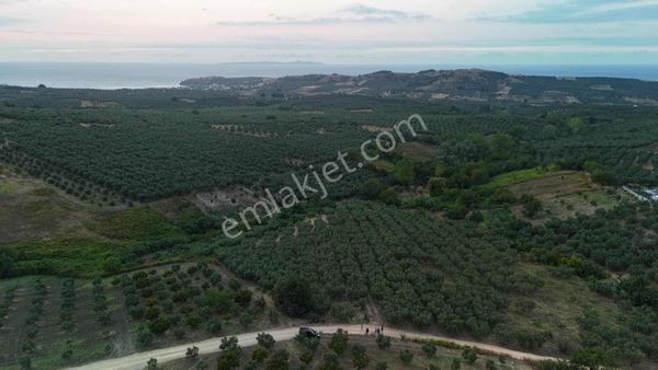 Bursa Mudanya Yalıçiftlikte Yatırımlık 14.854 M² Tarla