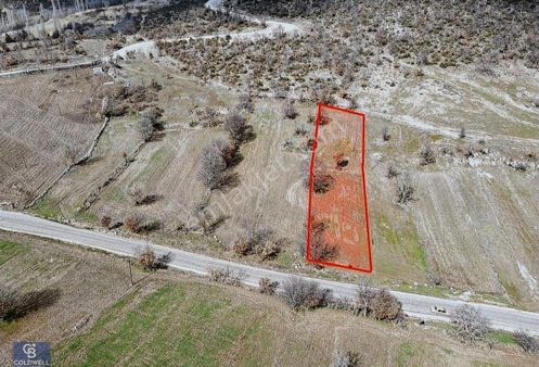 Balıkesir Dedeler Asfalt Yola Cephe Satılık Tarla