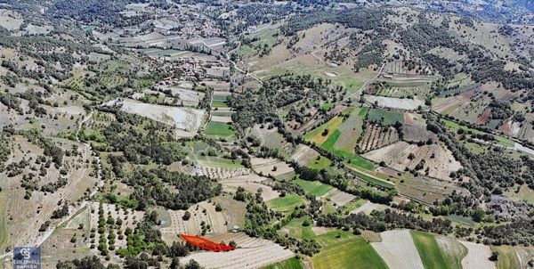 Balıkesir Sındırgı Kınık'ta Satılık 1021 M2 Tarla