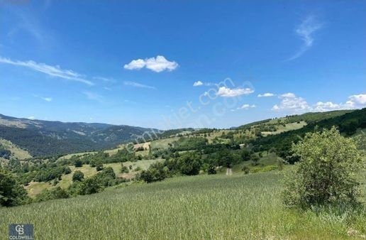 Balıkesir Sındırgı'da Baraj Manzaralı Satılık Tarla