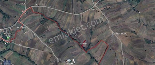 Kandıra Karadivan Da Kadastro Yola Cephe 841 M2 Satılık Arsa