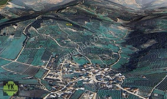 Bursa Osmangazi Aksungur 789 M² Zeytinlik