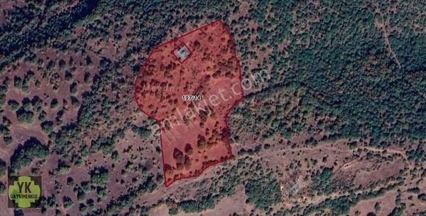 Balya Bengiler Köyünde 16,050 M² Satılık Yatırımlık Tarla