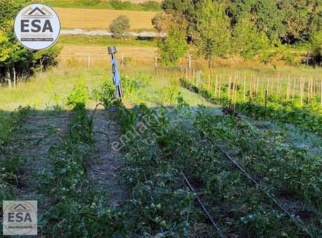 Esa Gayrimenkul'den Arnavutköy'de Satılık Arazi