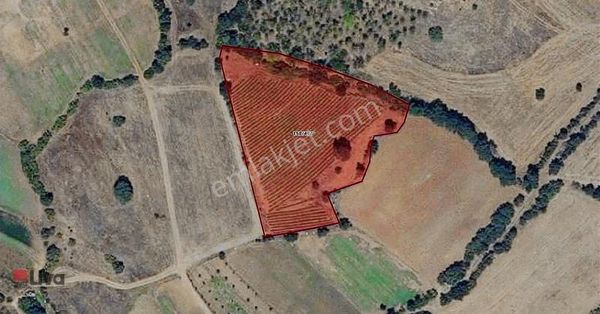 Balıkesir Altıeylül Sarıalan Mah.de Satılık Köy Arsası