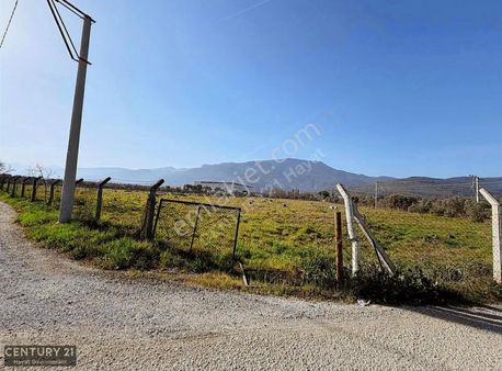 Kemalpaşa Da Satılık Tarla