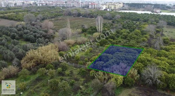 Aydın Nazilli İsabeyli Mahallesi 499m² Satılık Konut İmarlı Arsa