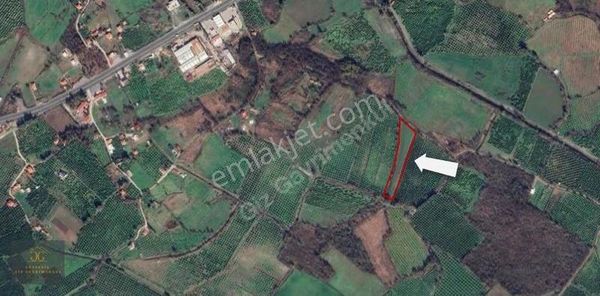 Köyceğiz Döğüşbelen Mh. De Satılık 6980m2 Tarla