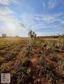 Çanakkale Yenice Kargacı'da 459 M² Bahçe Harmanlar Mevkii