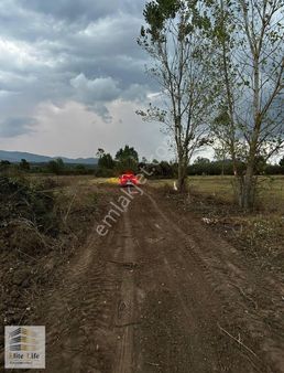 Fırsat! Çanakkale Yenice'de 4 Dönümden Büyük Yatırımlık Tarla