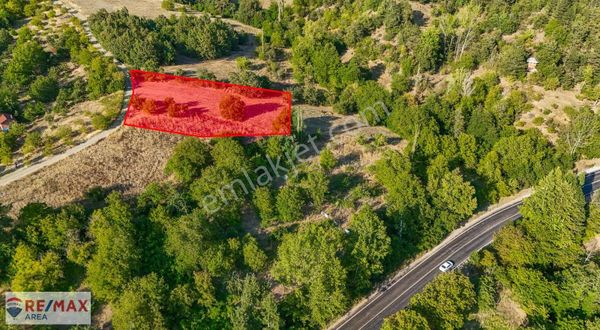 Remax Area'dan Büyükdeliller Köyünde Yola Cephe Fırsat Arazi
