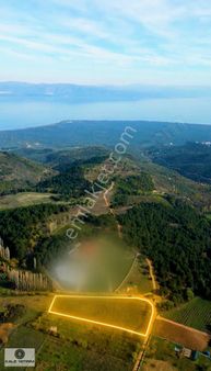 Kaleden Yenisölözde Doğanın Kalbinde 4100m² Hobi Bahçesi