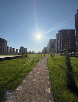 Wiston Yanı Avizeli Klimalı Ekstralı İkinci El Tapu Lüks 3'5+1