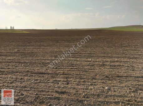 Rw Detay/ Tepebaşı Hisar Mh. 13.655 M2 Satılık Tarla