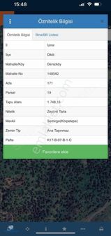 Denizköy Mah 1.748 M2 Satılık Zeytinlik Tarla