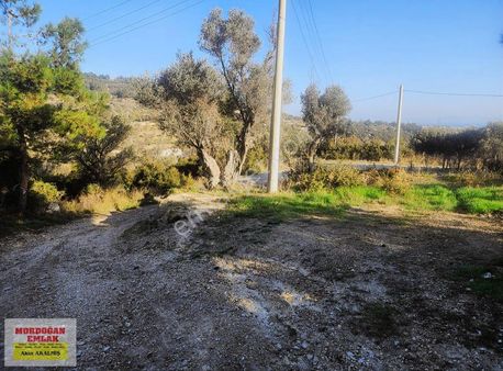 Moordoğan Emlak Tan Deniz Ve Doğa Mnz Arsa Satılıktır