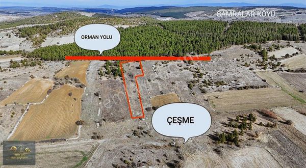 Orman Yolu Olan, Çeşmeye 50 Metre, Manzaralı 3,921m2 Tarla