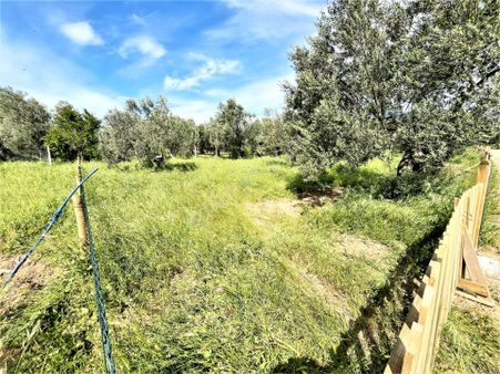 Aygülden Edremit🌳 Zeytinli'de🌳etrafı Çevrili Kadastro Yola Cephe 302m2 Satılık Hobi Bahçeleri