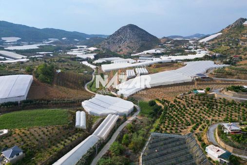 Alanya İmamlı’da Satılık 2.731 M² Deniz Manzaralı Tarla